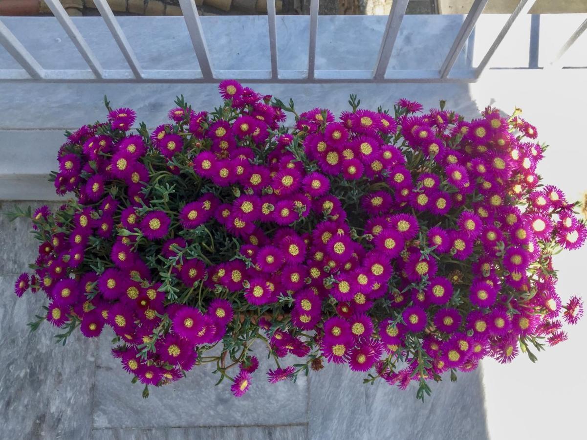 Peripatos Apartment Atina Dış mekan fotoğraf
